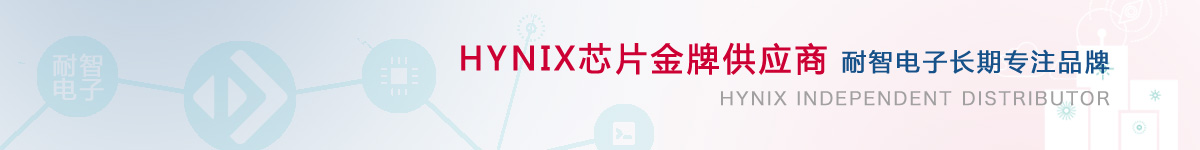 耐智电子是Hynix公司在中国的代理商