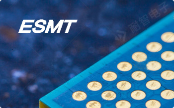 ESMT公司的主要产品